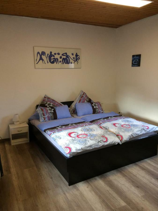 לודוויגסהאפן אם ריין Sam Apartments מראה חיצוני תמונה